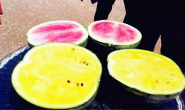 吃瓜爆料配乐有哪些,揭秘热门吃瓜配乐背后的故事